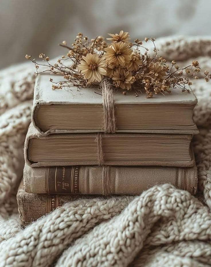 How to Choose the Right Book Cover or Kindle Sleeve for Your Reading Life